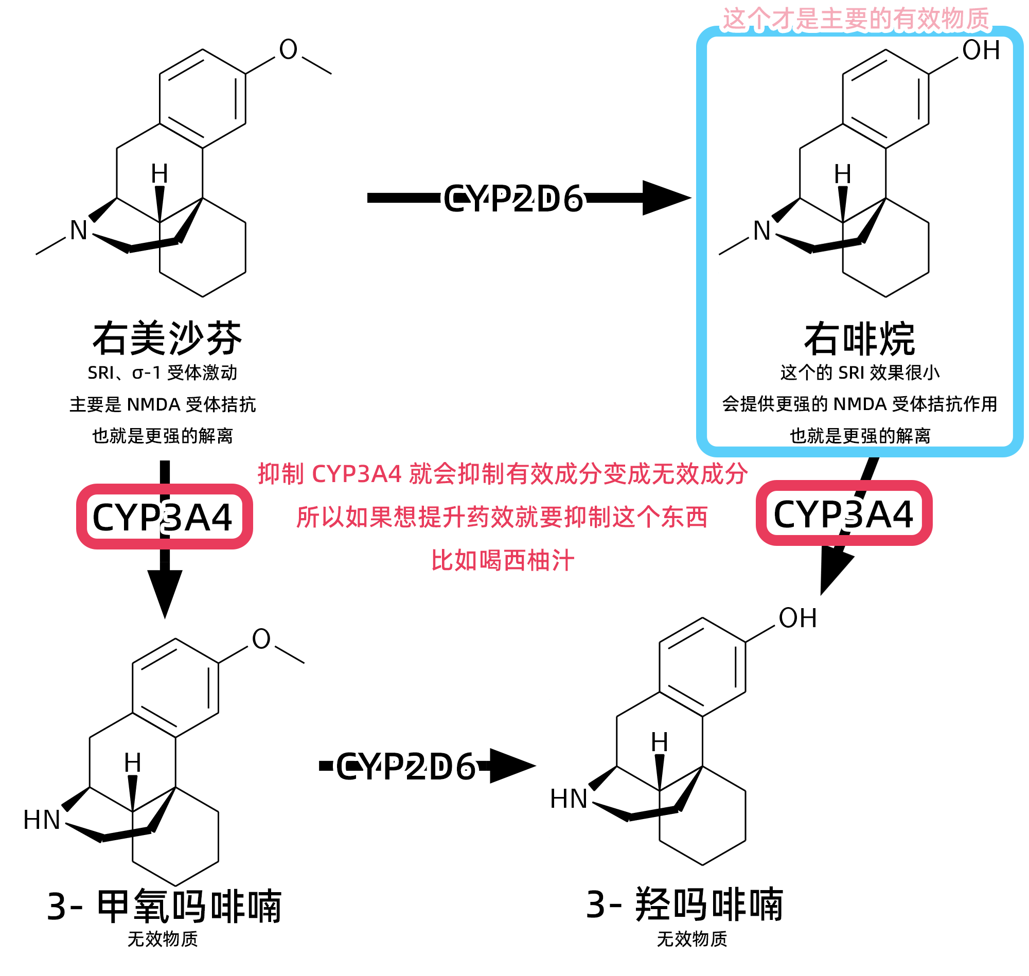 dxm-metabolism.png